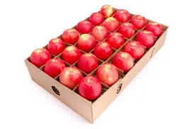 قیمت کارتن میوه