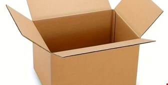 معرفی رایج‌ترین مدل‌های کارتن دایکاتی